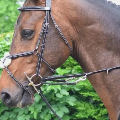 - Enrênement Howlett Week Concours Complet D'Equitation|Howlett/ Thiedeman