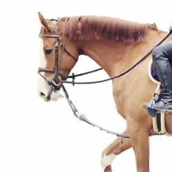 Outlet - Enrênement Patrick Gogues