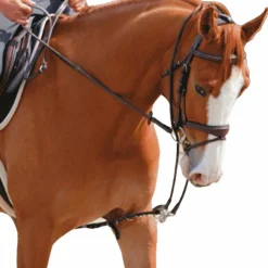 Outlet - Enrênement Patrick Gogues