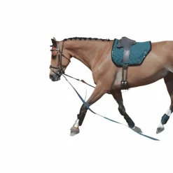 Outlet - Enrênement Patrick Gogues