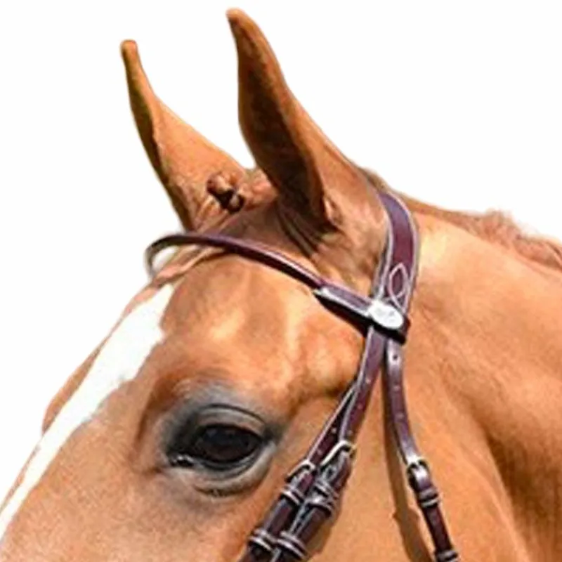 Frontaux*Jump'In - Frontal Monday rond Week