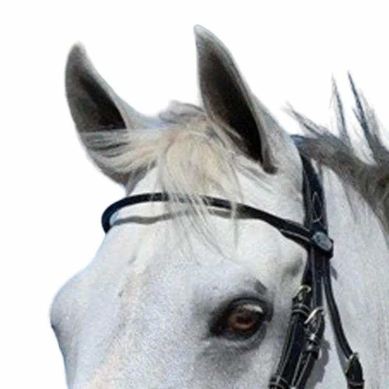 Frontaux*Jump'In - Frontal Monday rond Week