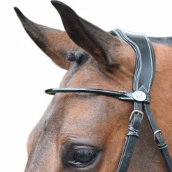 Frontaux*Jump'In - Frontal verni rond Noir