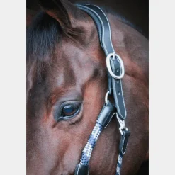 Clearance - Licol cheval One Travel Élevage|Grooming