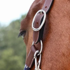 Clearance - Licol cheval One Travel noisette Élevage|Grooming