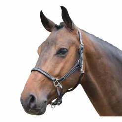 Élevage|Grooming*Jump'In - Licol cheval Week de pansage Noir