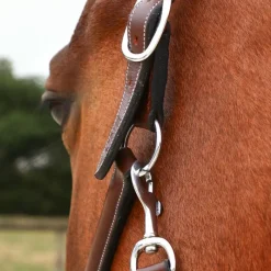 Horseball|Élevage*Jump'In - Licol de pansage One Noisette Marron