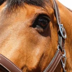 Horseball|Élevage*Jump'In - Licol Fancy One Noisette Marron