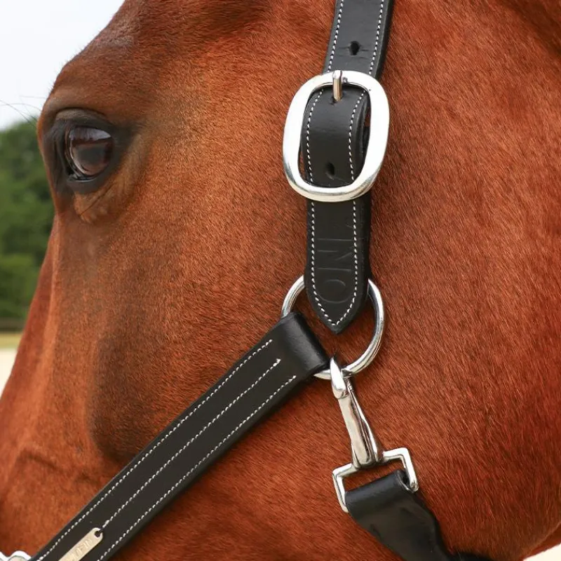 Outlet - Licol Fancy One Horseball|Élevage