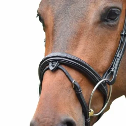 Muserolles*Jump'In - Muserole combinée Wednesday Noir