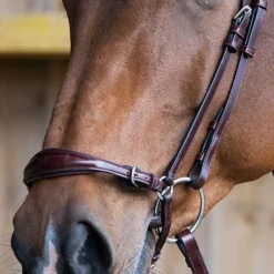 Outlet - Muserolle allemande Evolution noisette Muserolles