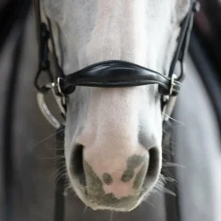 Outlet - Muserolle allemande Evolution Muserolles