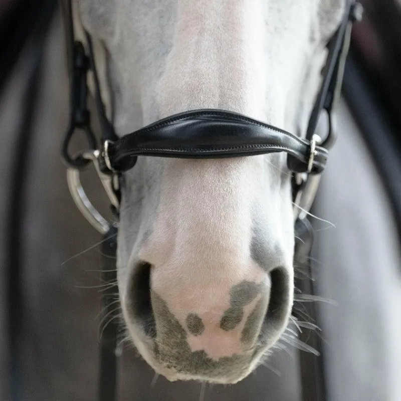 Outlet - Muserolle allemande Evolution Muserolles