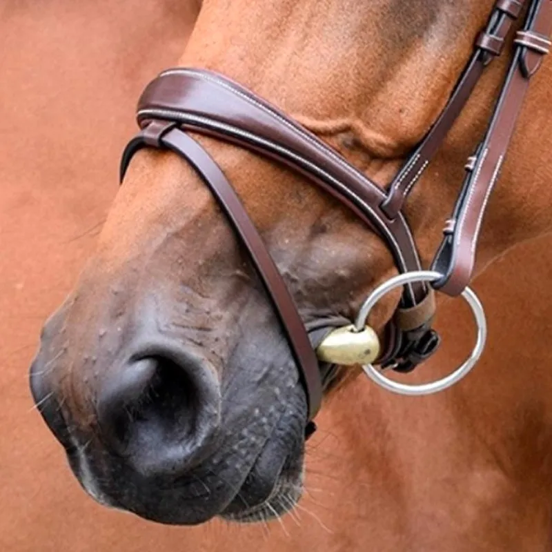 Muserolles*Jump'In - Muserolle Bruxelles collection One noisette Marron