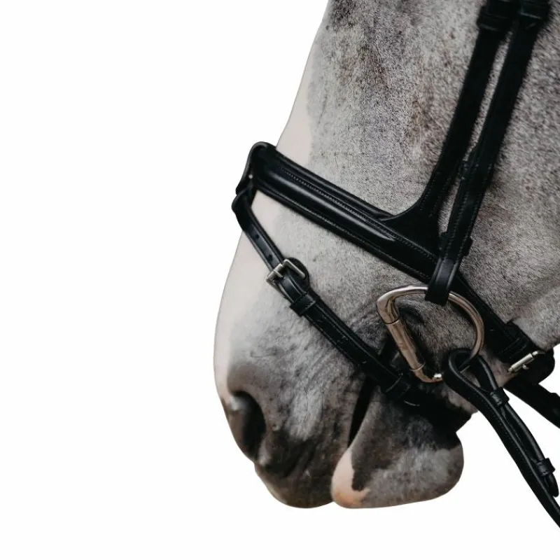 Muserolles*Jump'In - Muserolle combinée Evolution Noir