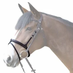 Muserolles*Jump'In - Muserolle combinée Evolution havane Marron