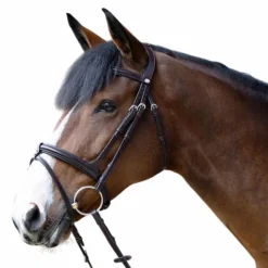 Muserolles*Jump'In - Muserolle combinée Evolution havane Marron