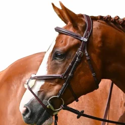 New - Muserolle croisée Tuesday acajou Muserolles