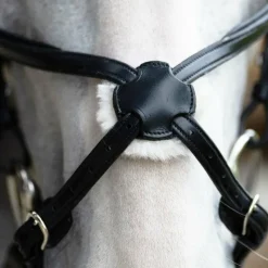 Muserolles*Jump'In - Muserolle croisée Evolution Noir