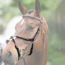 Muserolles*Jump'In - Muserolle croisée Evolution havane Marron