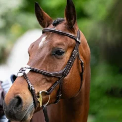 Muserolles*Jump'In - Muserolle croisée Evolution havane Marron