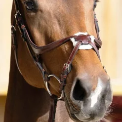 Discount - Muserolle croisée Evolution noisette Muserolles