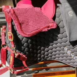 Hot - Pantalon d'équitation femme Super X Pantalons D'Équitation