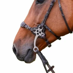 Accessoires De Mors*Jump'In - Protection pour hackamore petites branches plates en cuir havane Marron