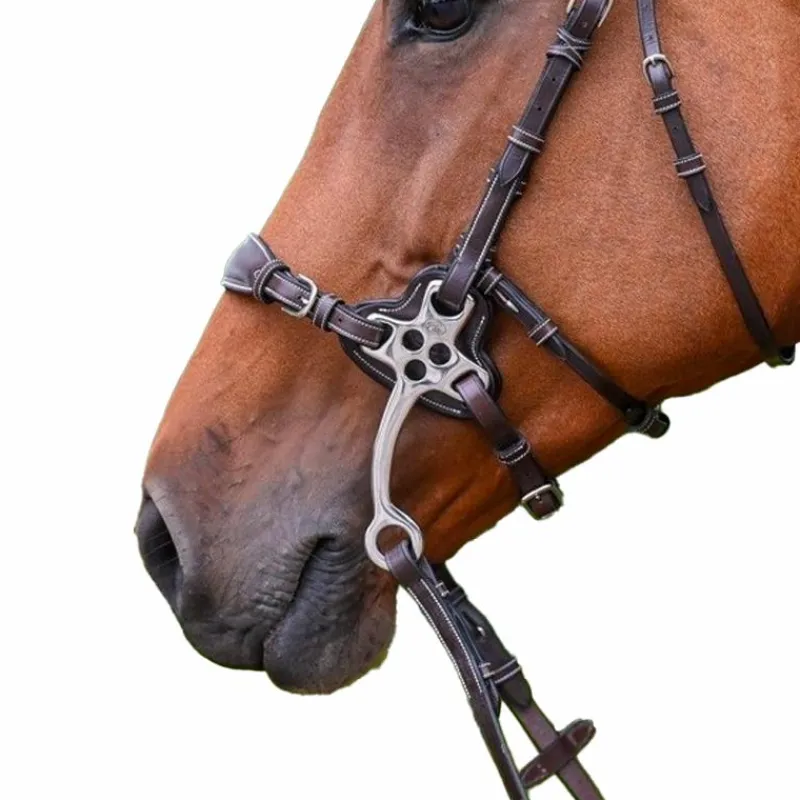 Accessoires De Mors*Jump'In - Protection pour hackamore petites branches plates en cuir havane Marron