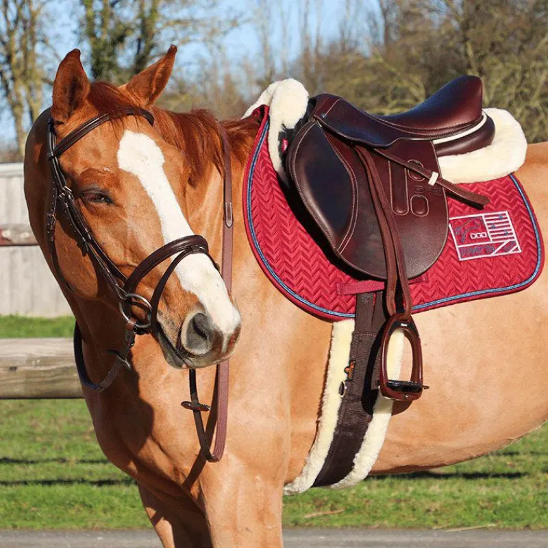 Tapis Cso/ Mixtes|Tapis De Selle*Jump'In - Tapis de selle Show One / marine Bordeaux