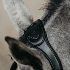 Têtières*Jump'In - Têtière + rênes Evolution Noir