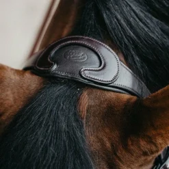 - Têtière + rênes Evolution havane Têtières