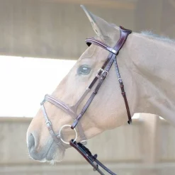 Têtières*Jump'In - Têtière + rênes Evolution noisette Marron