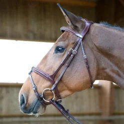 Têtières*Jump'In - Têtière + rênes Evolution noisette Marron