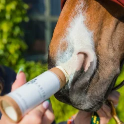 Protection Solaire*Karitale - Baume de soin anti-UV