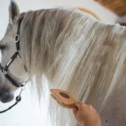Démêlants*Karitale - Soin démêlant pour crins