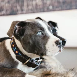 Sale - Collier pour chiens perles faites main Colliers