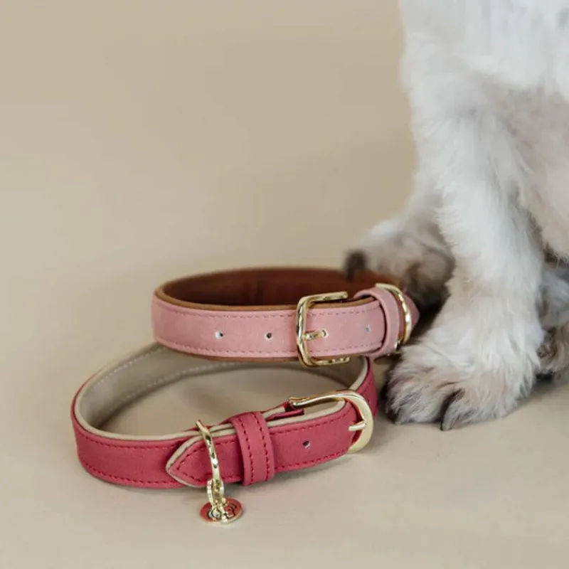 - Collier pour chien vegan leather red/beige Colliers