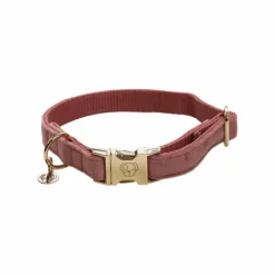 Colliers*Kentucky Dogwear - Colliers pour chiens Velvet Rose