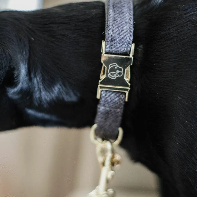Colliers*Kentucky Dogwear - Collier pour chiens Wool Gris