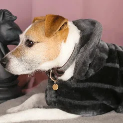 Outlet - Collier pour chiens Colliers