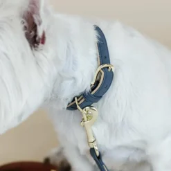 Colliers*Kentucky Dogwear - Collier pour chien vegan leather navy/beige Marine