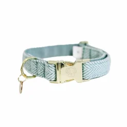 Colliers*Kentucky Dogwear - Collier pour chiens Wool clair Bleu