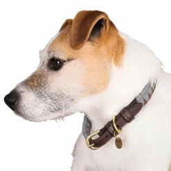 Colliers*Kentucky Dogwear - Colliers pour chiens Triangle Gris