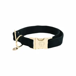 New - Colliers pour chiens Corduroy Colliers