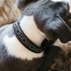 Colliers*Kentucky Dogwear - Collier pour chiens perles faites main Argent