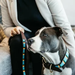 Outlet - Collier pour chiens perles faites main pure clair Colliers