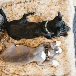 Outlet - Collier pour chiens perles faites main pure clair Colliers