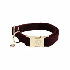 Best - Colliers pour chiens Corduroy Colliers