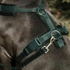 Harnais*Kentucky Dogwear - Harnais pour chien actif velours pine green Vert